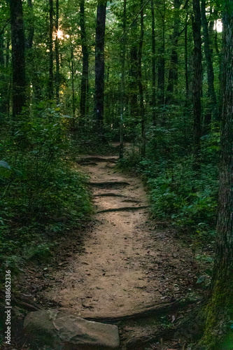 Hiking path in the woods of North Alabama © Stan Reese