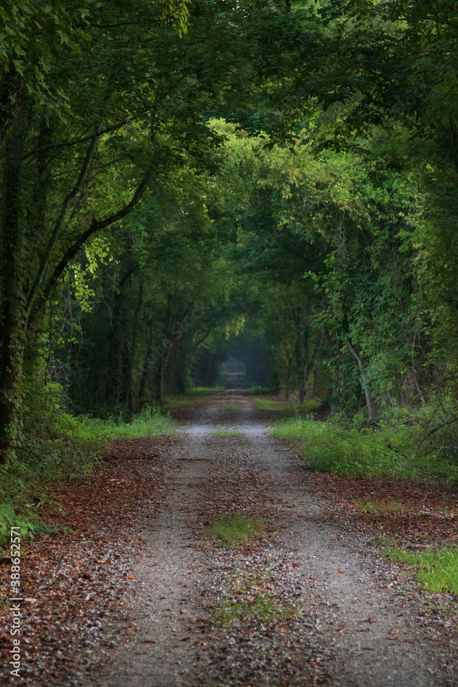 Fototapeta premium A Rails to Trails Walkway in Northern Alabama