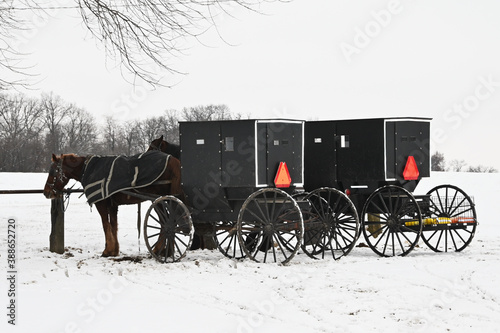 Parked Amish Buggies photo