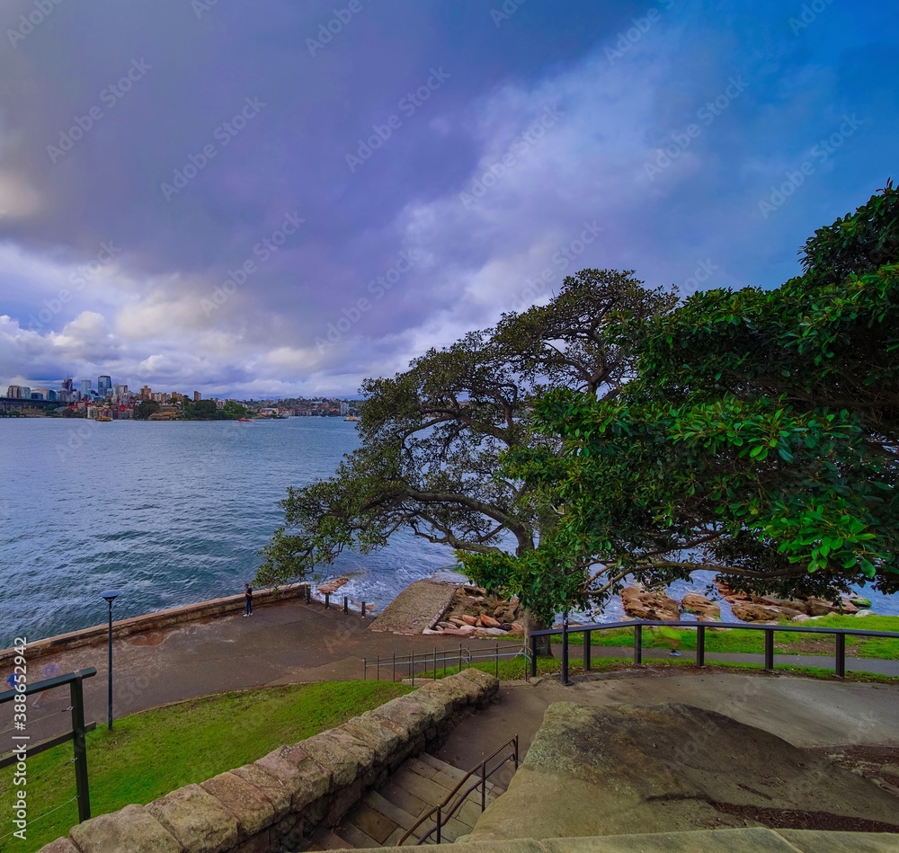 Beautiful colours of Sydney Harbour viewed from Botanical Gardens in NSW Australia on cloudy spring afternoon