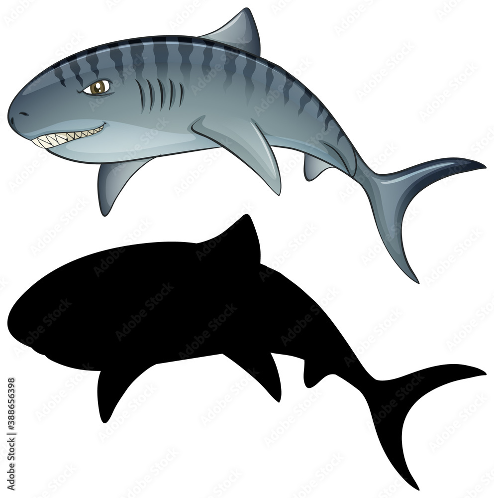 Shark characters and its silhouette on white background Shark characters and its silhouette on white background