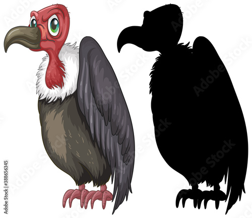 Vulture characters and its silhouette on white background