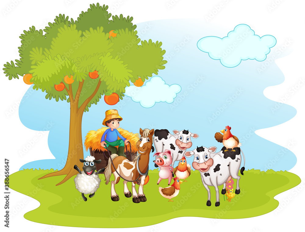 Fototapeta premium Group of domestic animals in a farm isolated
