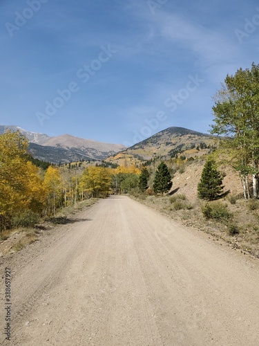 Fall 2020 along Marshall Pass