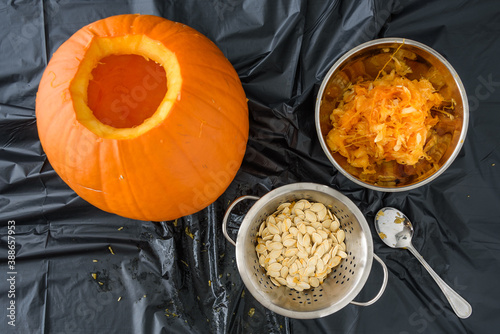 Billede på lærred Harvesting pumpkin seeds, fresh carved pumpkin on a plastic covered table with p