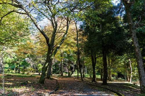 樹木公園の風景