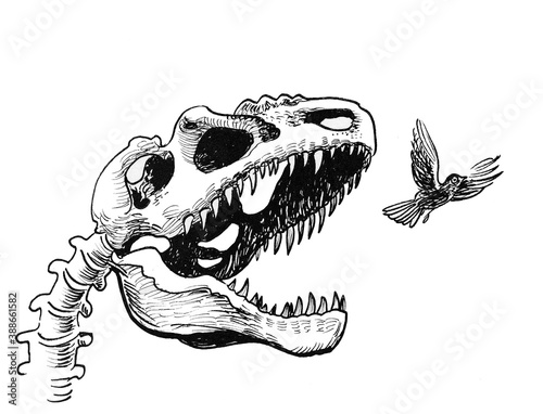 Tyrannosaurus Rex skull and flying bird. Ink black and white drawing