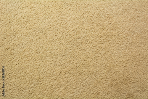 Shag Carpet Texture