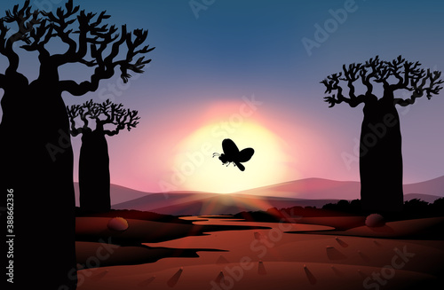 Outdoor nature silhouette sunset scene