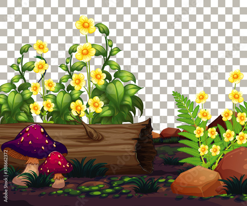 Nature outdoor garden close up on transparent background