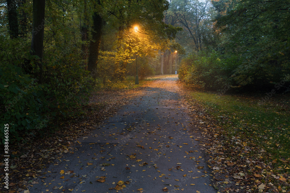 Naklejka premium Night view : landscape of alleyway with street lamps at misty night. dark street illuminated with street lights. Romantic or dramatic atmosphere during dusk in autumn. Beautiful background concept.