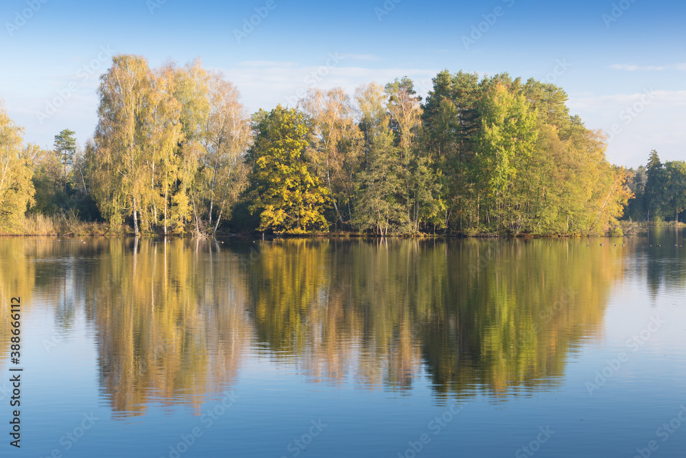 Nature rural pond water in autumn landscape
Beautiful lake in the background of colorful forest.
Romantic place for holidays. Romantic reflection. 