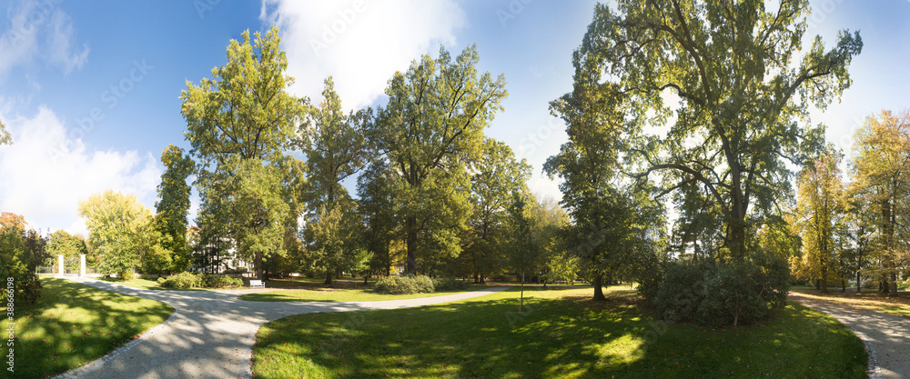 Fototapeta premium Beautiful autumn park. Autumn trees and leaves. Autumn Landscape. panorama of a stunning forest scenery in autumn, a scenic landscape with pleasant warm sunshine Bench in autumn park. Autumn landscape