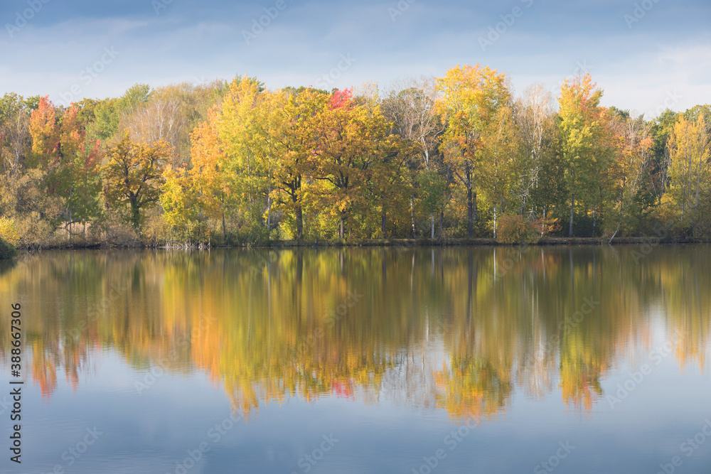 Nature rural pond water in autumn landscape
Beautiful lake in the background of colorful forest.
Romantic place for holidays. Romantic reflection. 