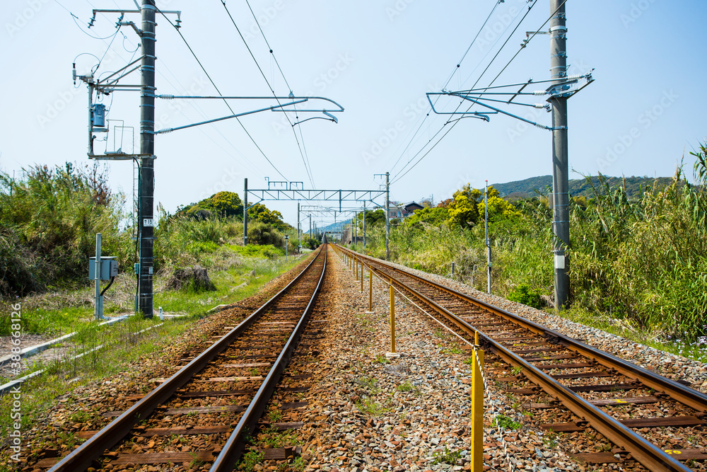 紀勢本線のレール