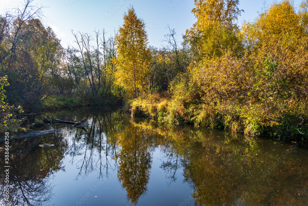 Autumn forest is reflected in the water of river Autumn forest is reflected in the water of river
