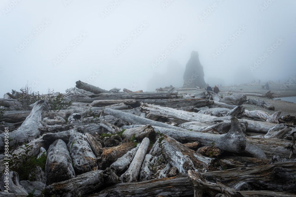 Ruby Beach Washington State USA