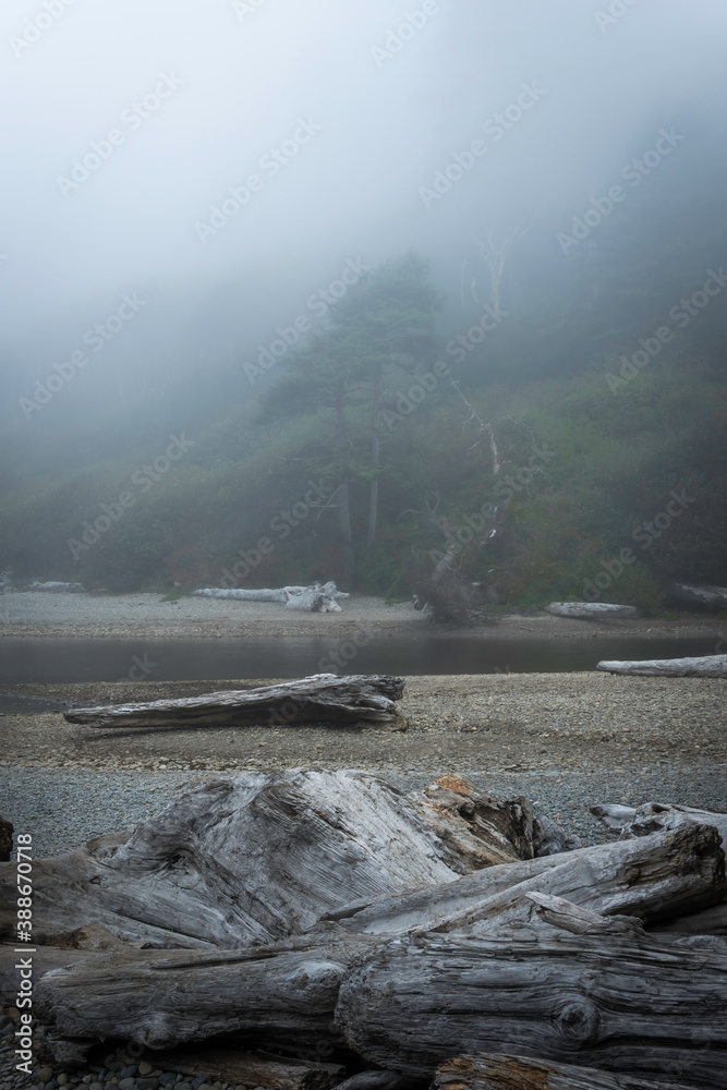 Ruby Beach Washington State USA
