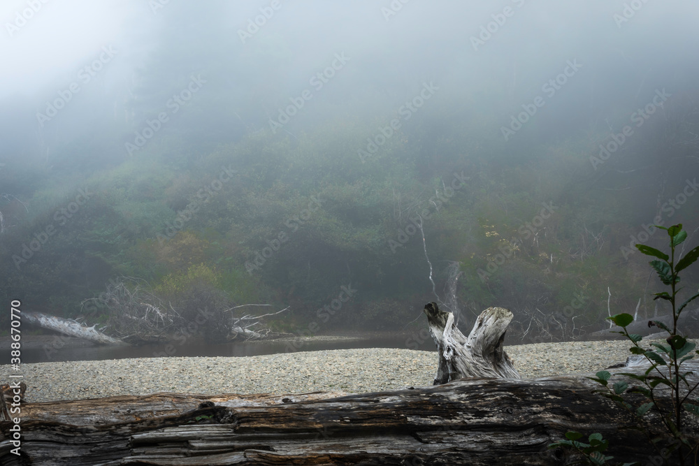 Ruby Beach Washington State USA
