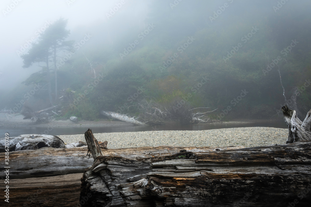Ruby Beach Washington State USA