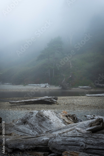 Obraz na płótnie Ruby Beach Washington State USA w salonie