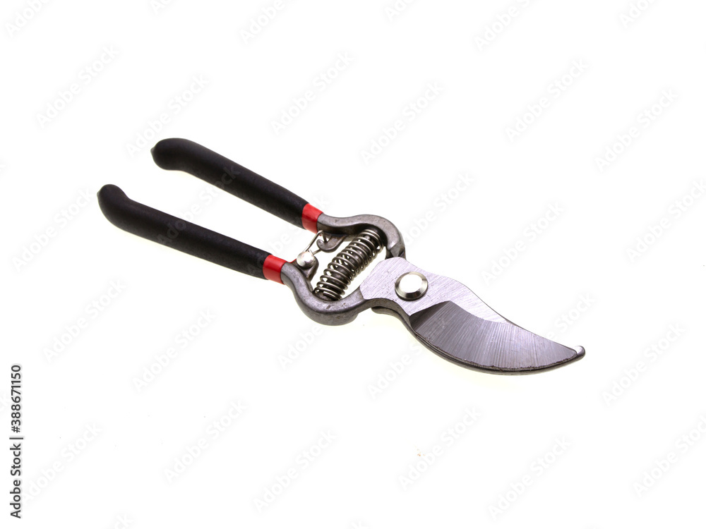 Obraz premium Pruning Shears isolated on white background