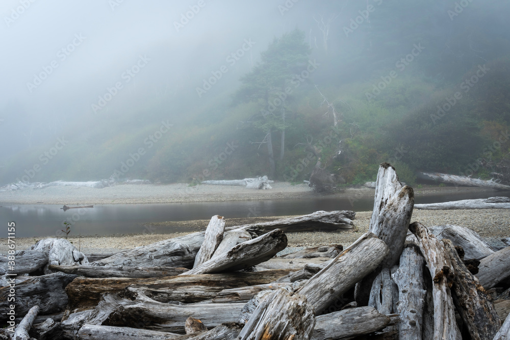 Ruby Beach Washington State USA