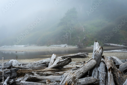 Obraz na płótnie Ruby Beach Washington State USA w salonie