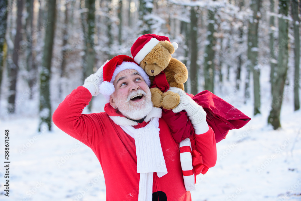 Santa Claus with teddy bear walk in the winter mountains snow in Christmas.