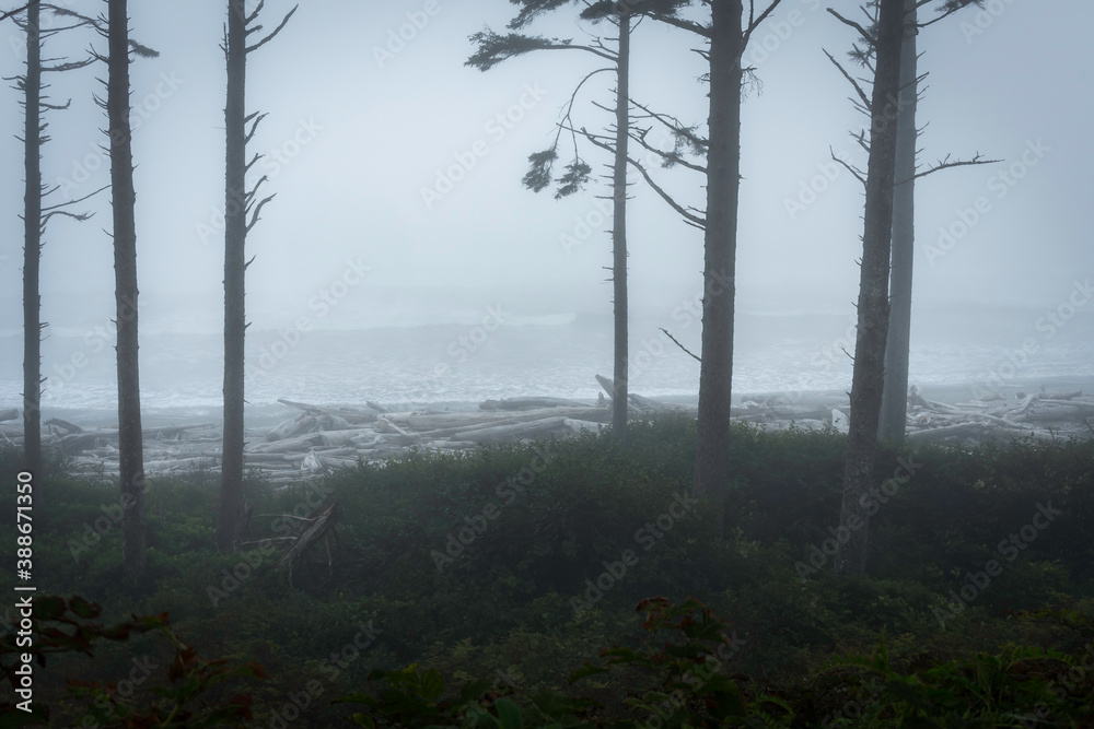 Ruby Beach Washington State USA