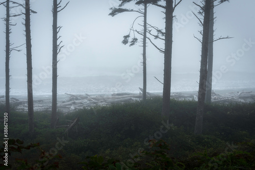 Obraz na płótnie Ruby Beach Washington State USA w salonie
