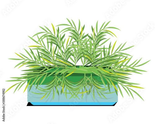 isolated fresh small plant in cement pot vector design