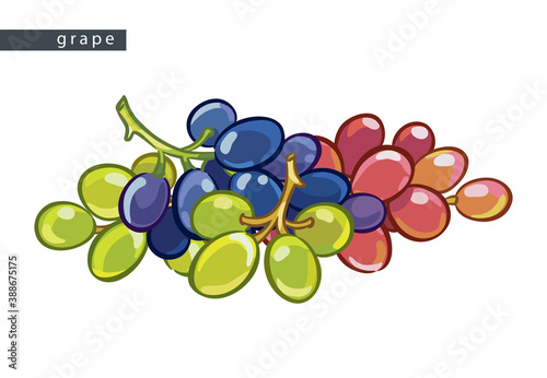 sketch_blue_pink_and_green_grape_small_pile