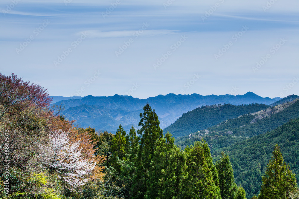 熊野古道から見た風景