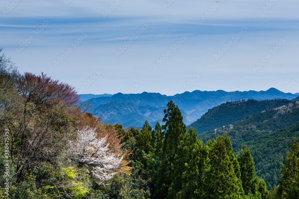 Obraz premium 熊野古道から見た風景