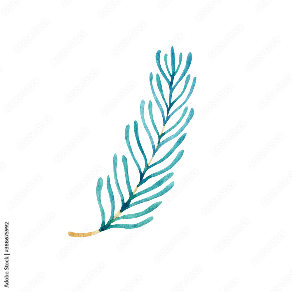 Fototapeta premium Watercolor evergreen fir branch isolated on a white background. Hand drawn element for winter holidays decor