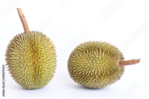 Durian as a king of fruit in Thailand. It has strong odor and thorn-covered rind.