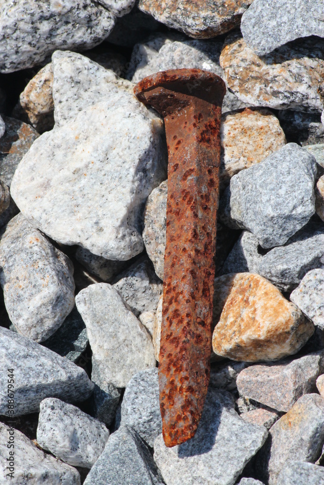 Fototapeta premium Train track nail, which I found next to the tracks. Seem to be some years old