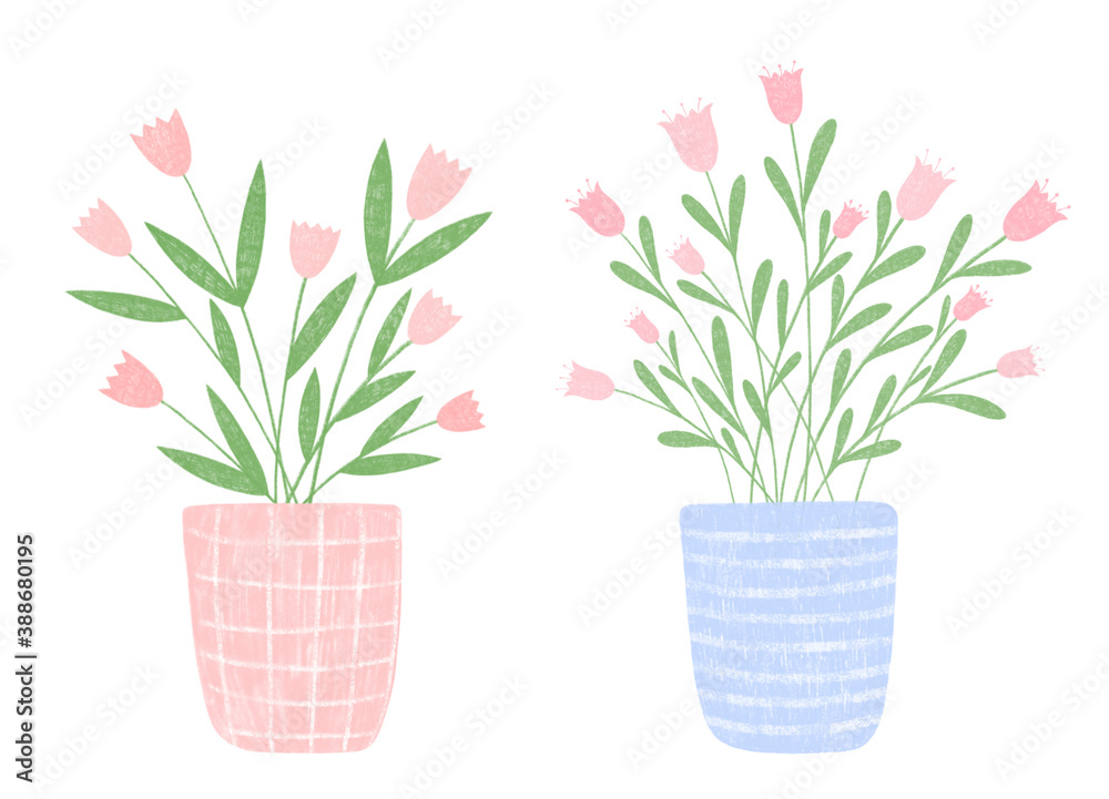 Set of indoor plants with pink flowers in color pots. Digital illustration in a hand-drawn style. Children's doodles. Perfect for your project, postcards, patterns, covers, decoration. Set of indoor plants with pink flowers in color pots. Digital illustration in a hand-drawn style. Children's doodles. Perfect for your project, postcards, patterns, covers, decoration.