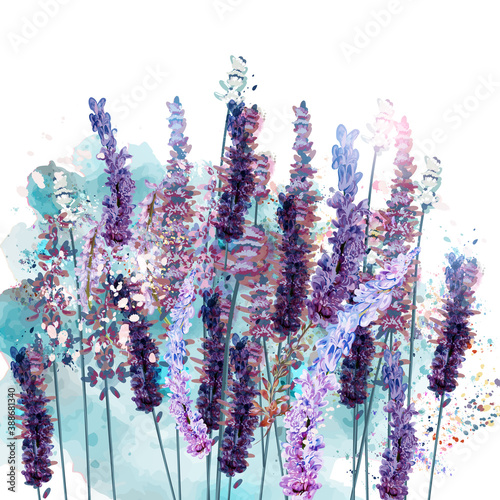 Beautiful vector illustration with spring lavender flowers in .watercolor style