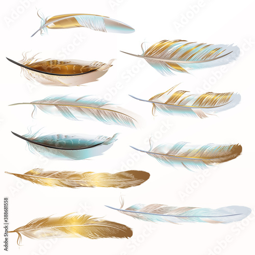 Collection of vector golden feathers for design in realistic style