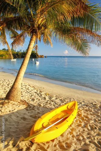 Fototapeta Naklejka Na Ścianę i Meble -  Sea kayak on the beach near palm tree