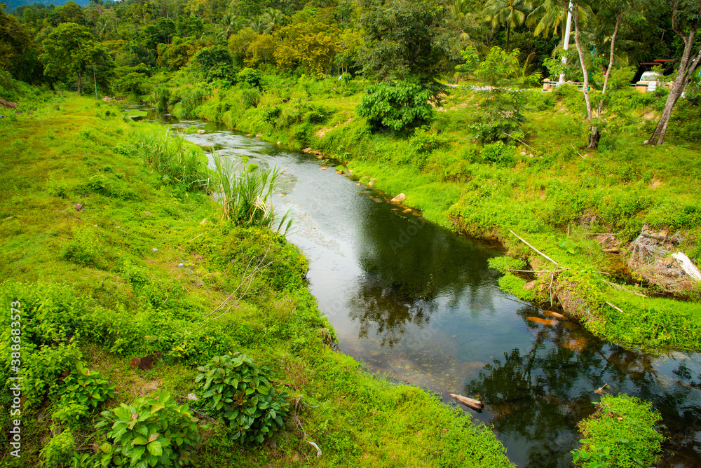 river in the forest with mountain and cloud river in the forest with mountain and cloud
