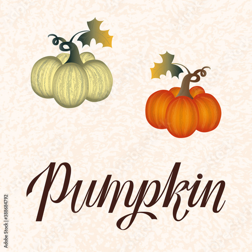 Thanksgiving flat art with hand lettering and pumpkins in bright warm cozy Autumn Colors. Thanksgiving season greetings. Greeting card. Thanksgiving symbols. 