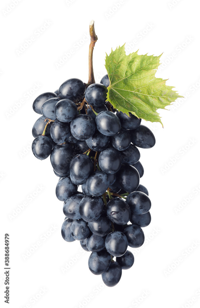 Fototapeta premium Sweet ripe grapes on white background