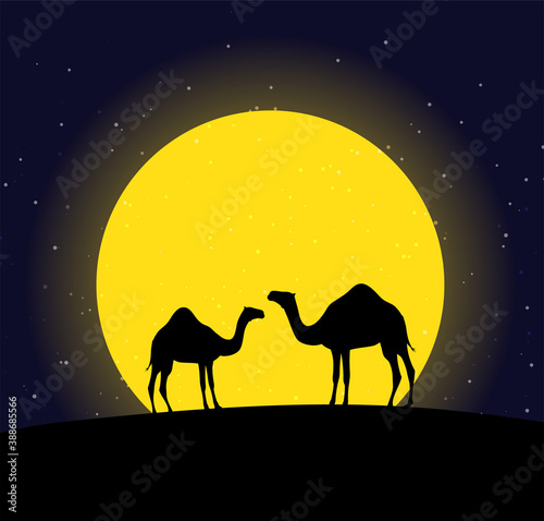 Camels in the desert night  moon