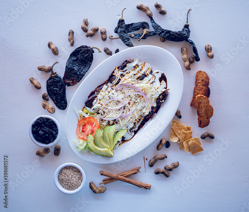 Ingredients to prepare mole enchiladas photo
