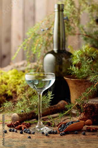 Obraz na plátně Gin, anise, and juniper berries on a wooden table.