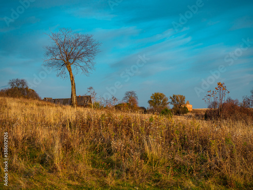 A lone tree and the remains of an old village in the background, on Stone Hill, Mari El photo