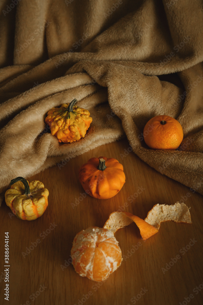 Fototapeta premium autumn still life with tangerine and little pumpkins in the background
